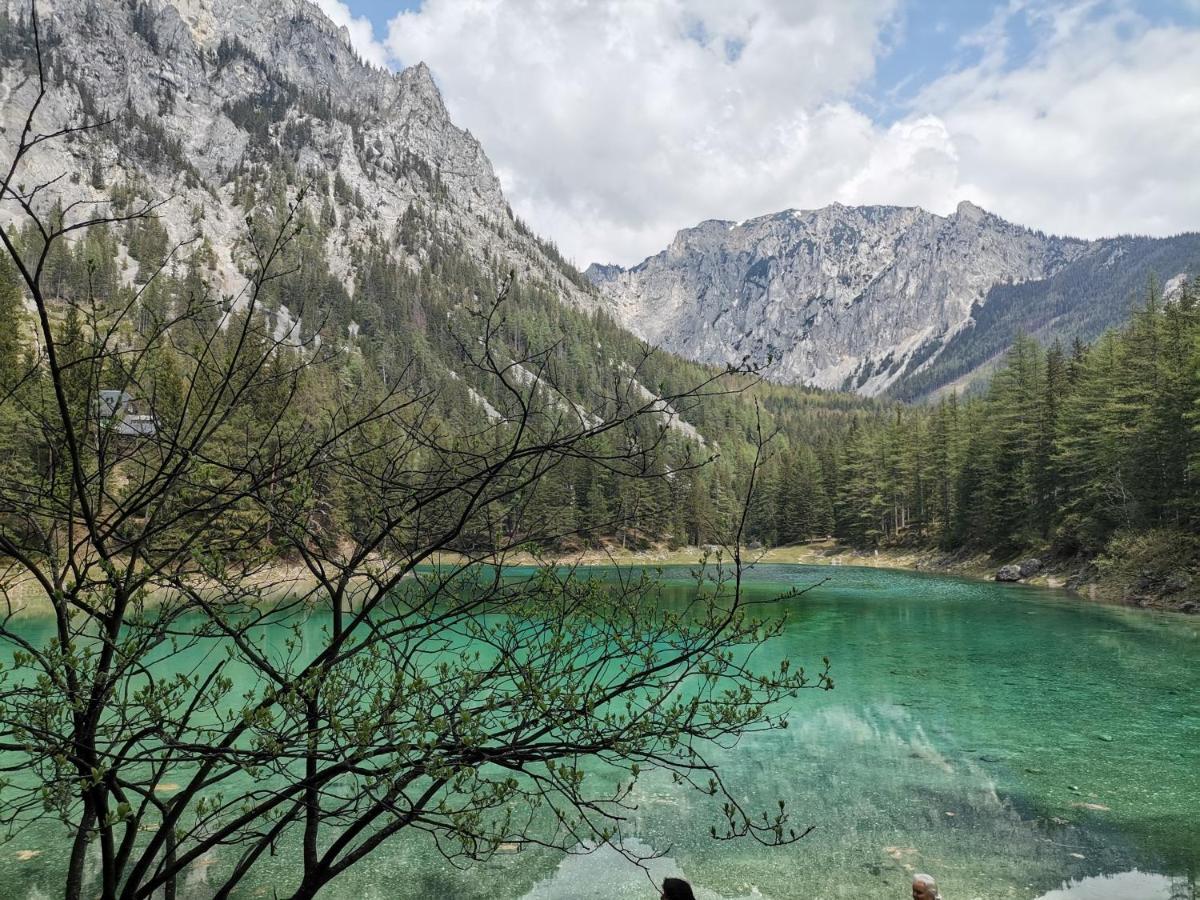 Haus Bergblick Fruehstueckspension Oberort Bagian luar foto