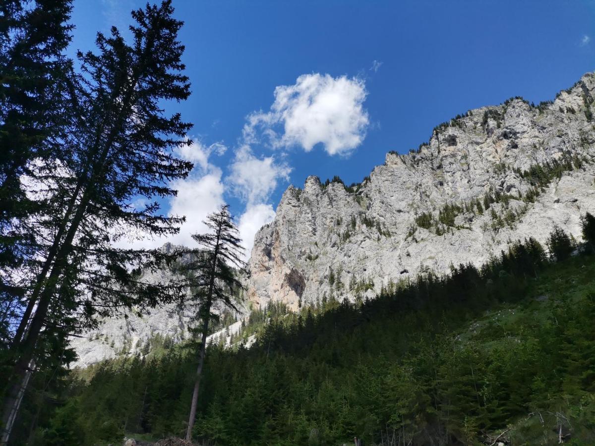 Haus Bergblick Fruehstueckspension Oberort Bagian luar foto