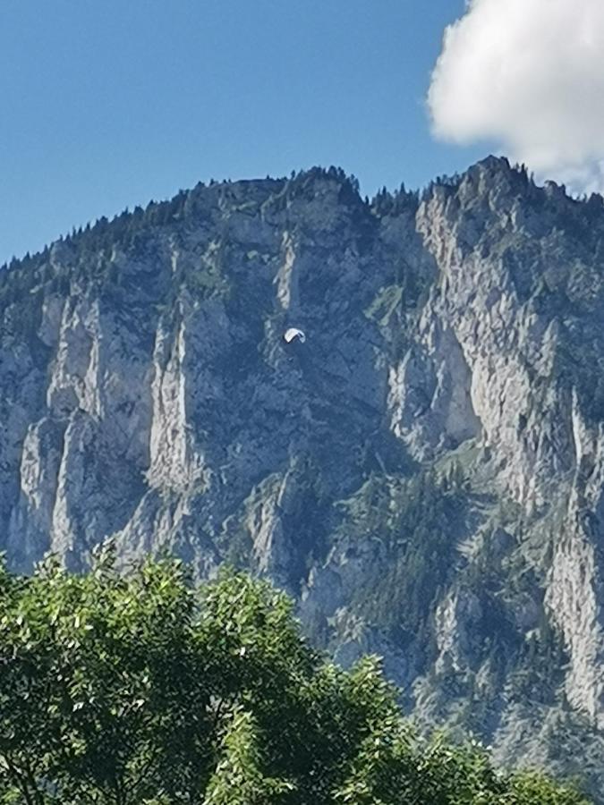 Haus Bergblick Fruehstueckspension Oberort Bagian luar foto