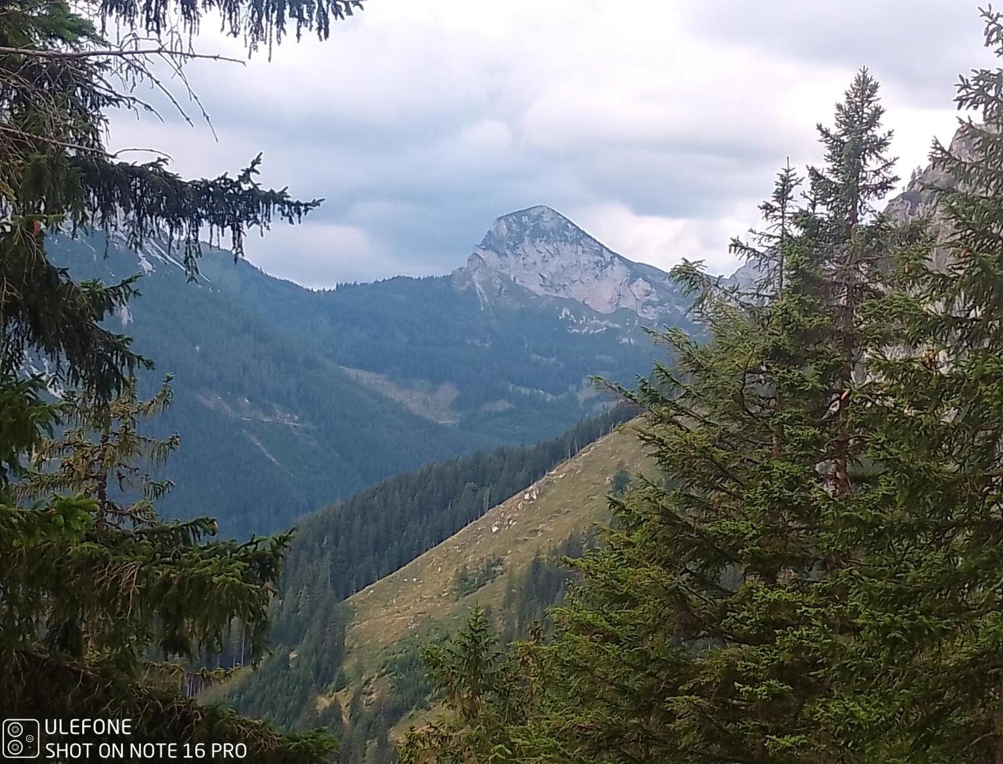 Haus Bergblick Fruehstueckspension Oberort Bagian luar foto