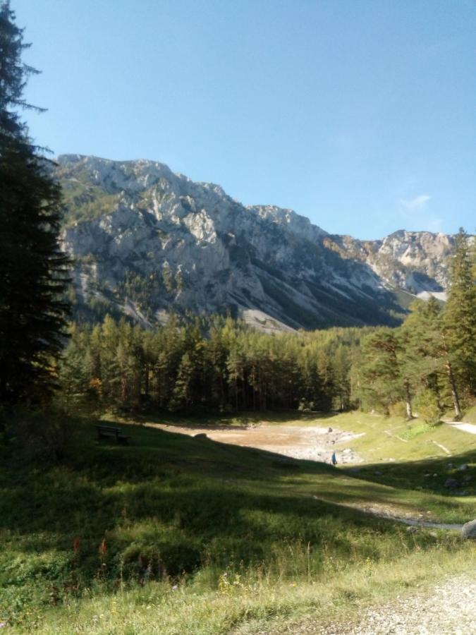 Haus Bergblick Fruehstueckspension Oberort Bagian luar foto